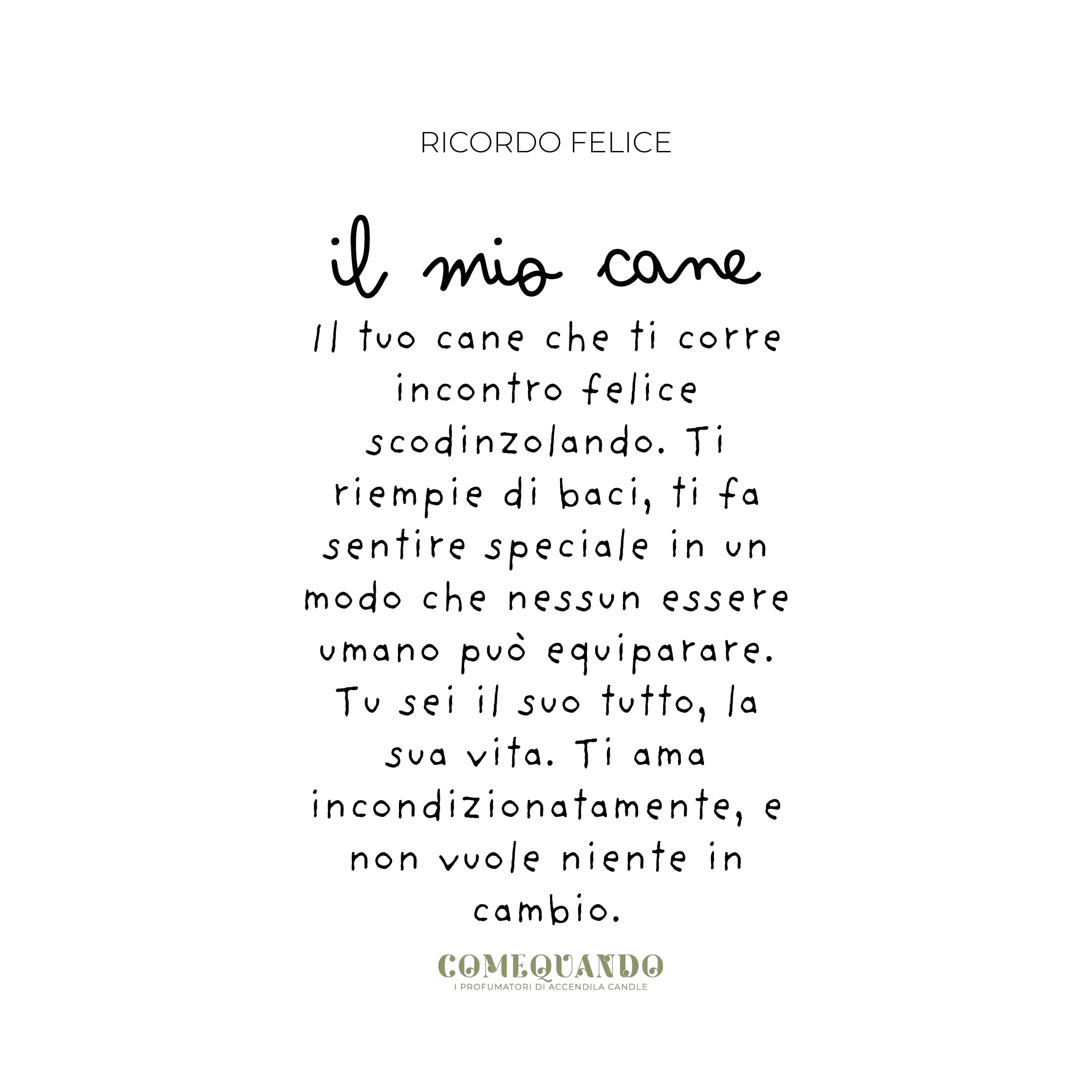 Accendila - Profumatore Come Quando - Cane - immagine 4